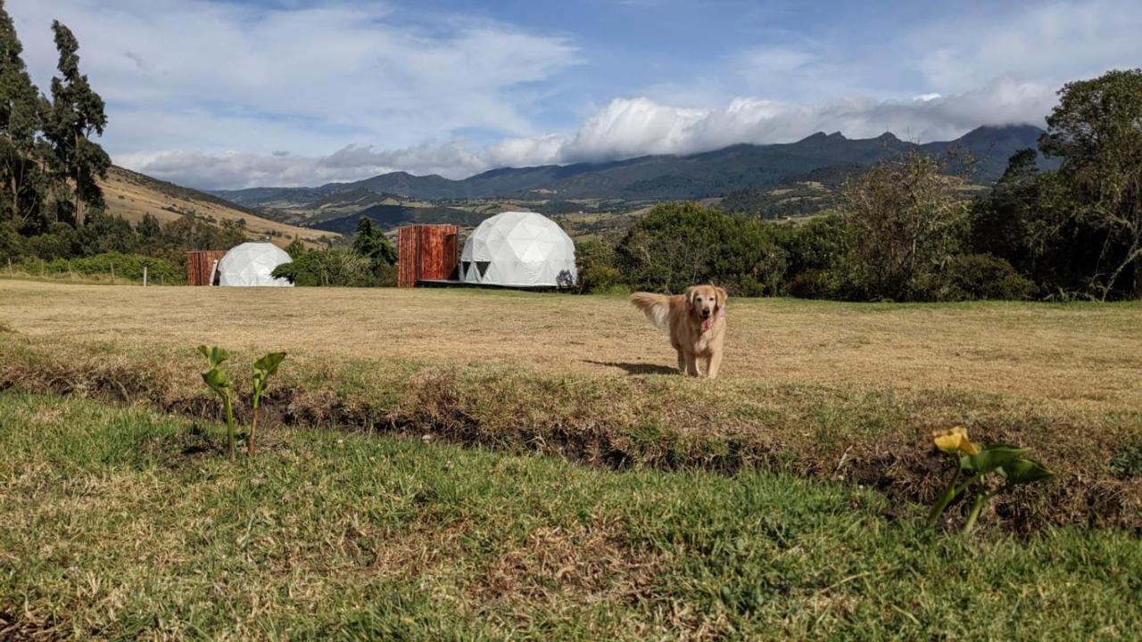 La Meca Glamping Hotel Guasca Bagian luar foto